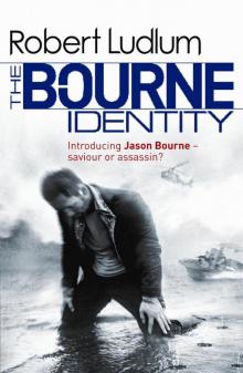      The Bourne Identity